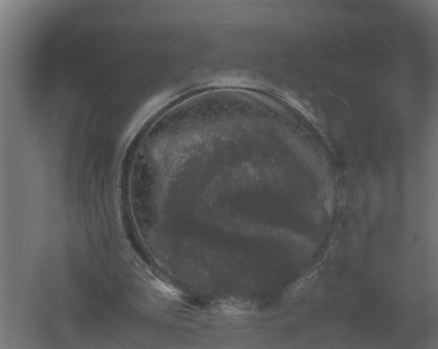 X0000061140199200511241813