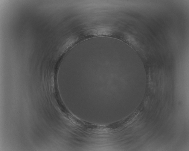 X0000061140202200511241813