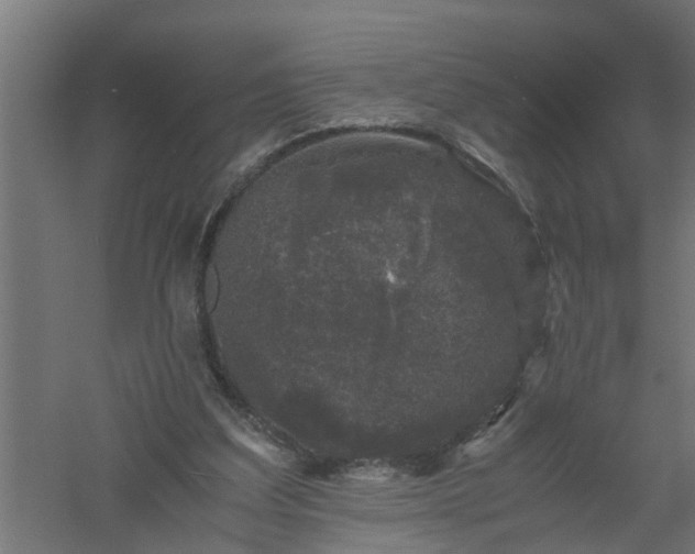 X0000061140203200511241813