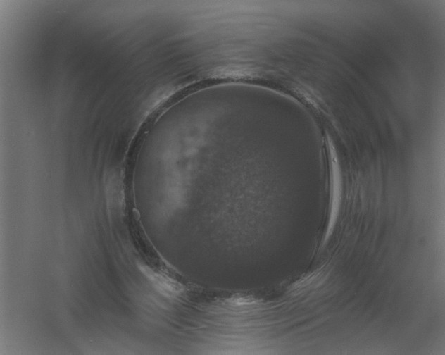 X0000061140204200511241813