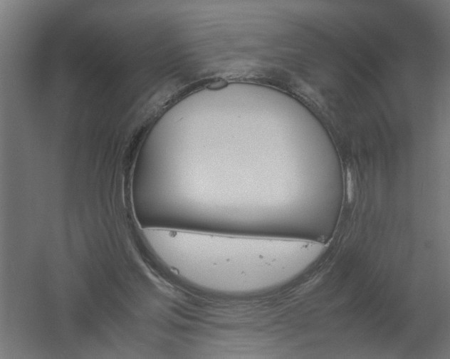 X0000061140205200511241813