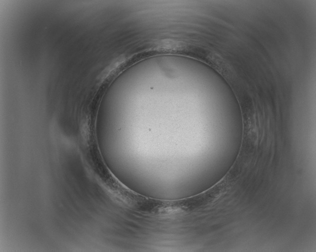 X0000061140208200511241813