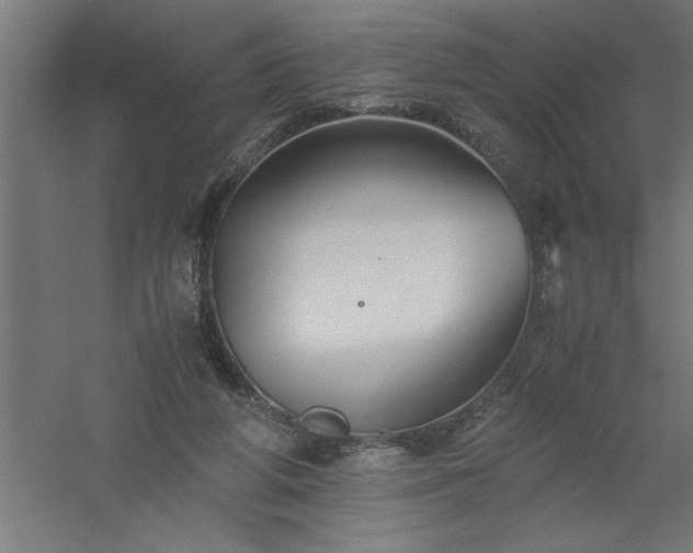 X0000061140210200511241813