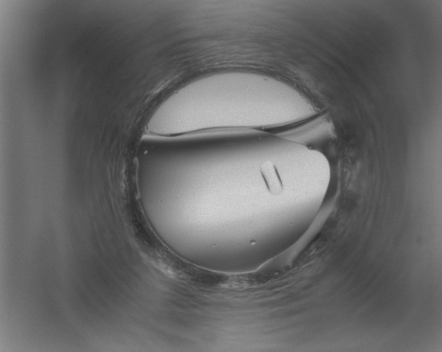 X0000061140211200511241813