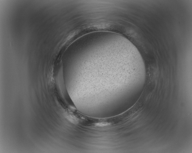 X0000061140212200511241813