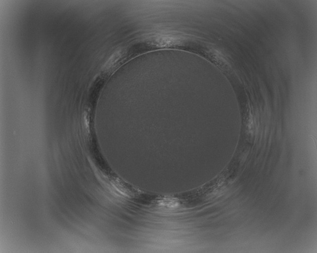 X0000061140214200511241813