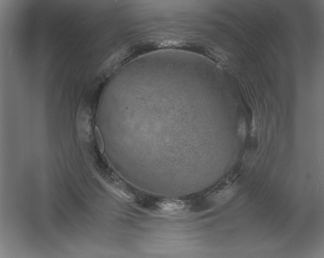 X0000061140215200511241813