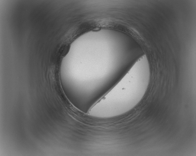 X0000061140217200511241813