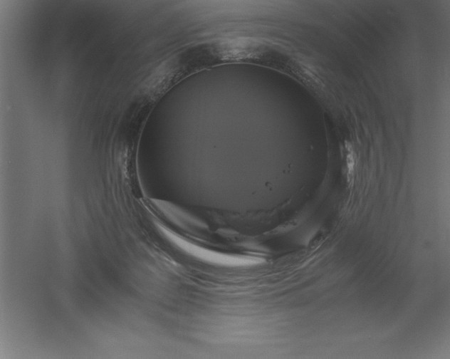 X0000061140219200511241813