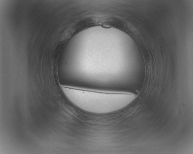 X0000061140221200511241812