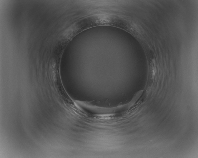 X0000061140223200511241812