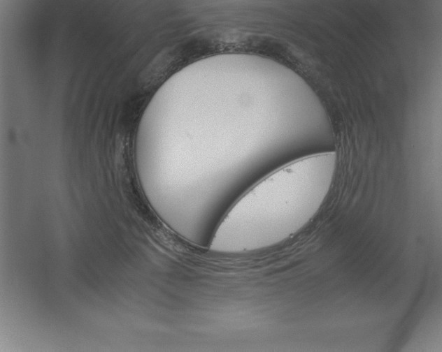 X0000061140225200511241812