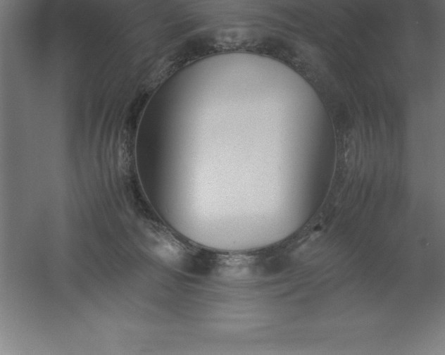 X0000061140226200511241812