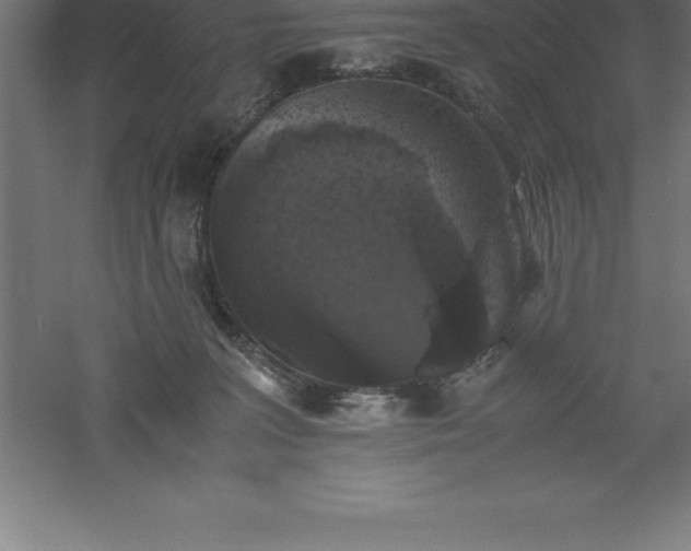 X0000061140227200511241812