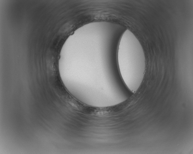 X0000061140228200511241812