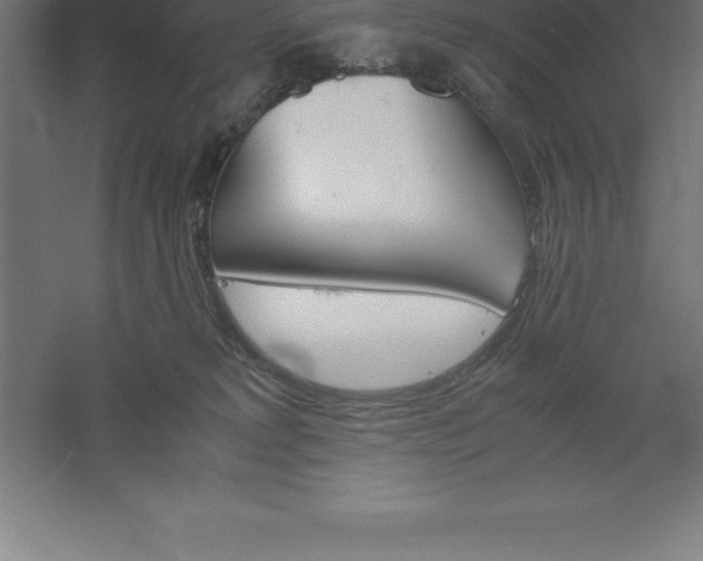 X0000061140229200511241812