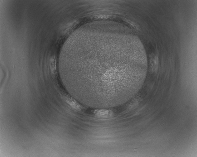 X0000061140230200511241812