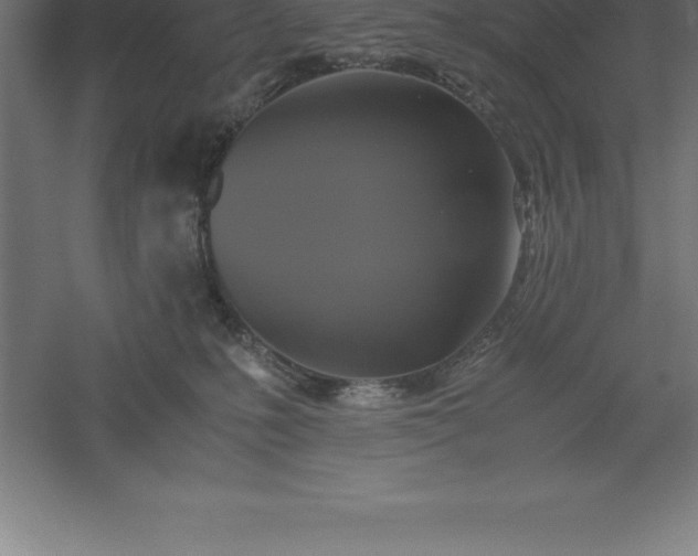 X0000061140231200511241812