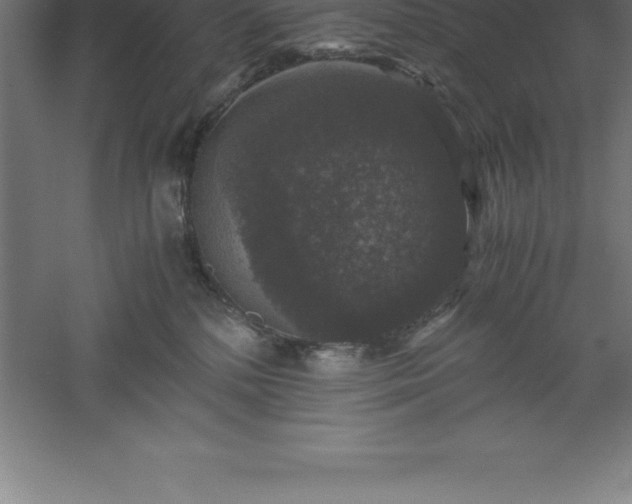 X0000061140232200511241812