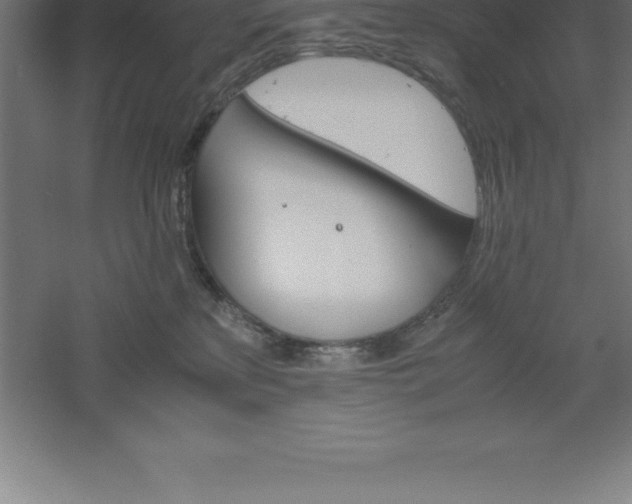 X0000061140233200511241812