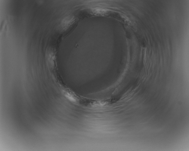 X0000061140235200511241812