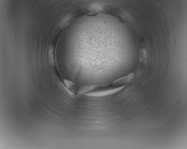 X0000061140238200511241812