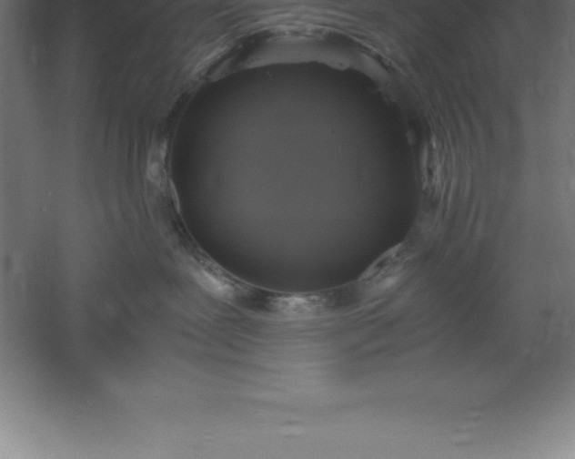 X0000061140239200511241812