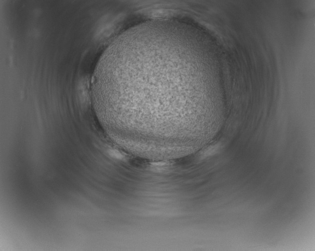 X0000061140240200511241812