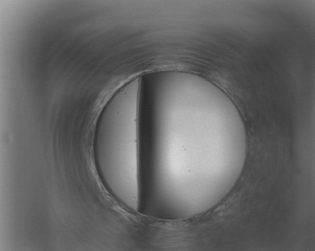 X0000061140241200511241811