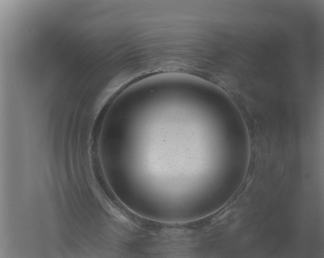 X0000061140242200511241811