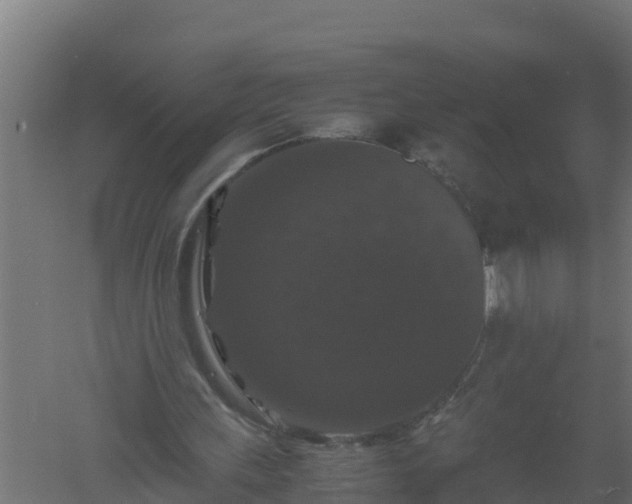 X0000061140243200511241811