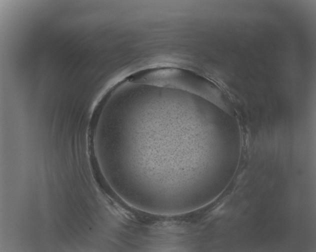 X0000061140244200511241811