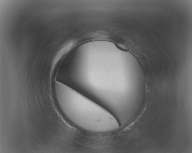 X0000061140245200511241811