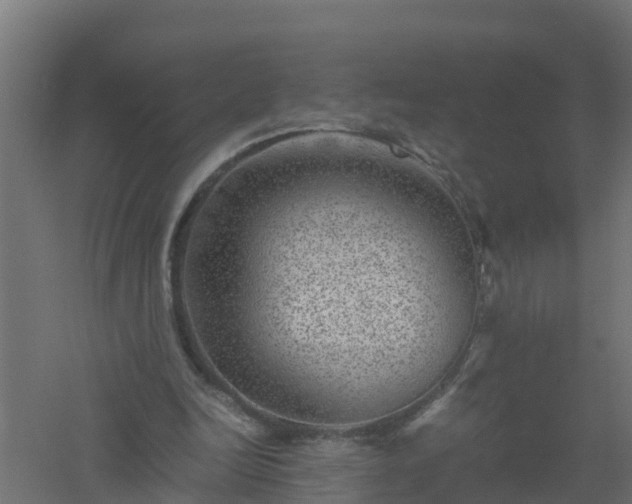 X0000061140246200511241811