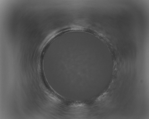 X0000061140247200511241811