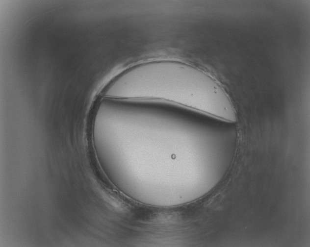 X0000061140248200511241811