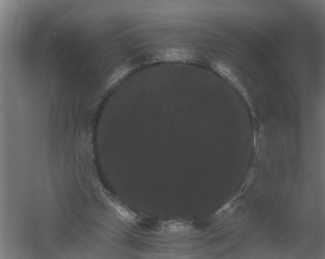 X0000061140249200511241811