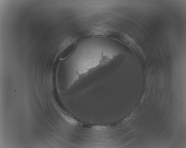 X0000061140250200511241811