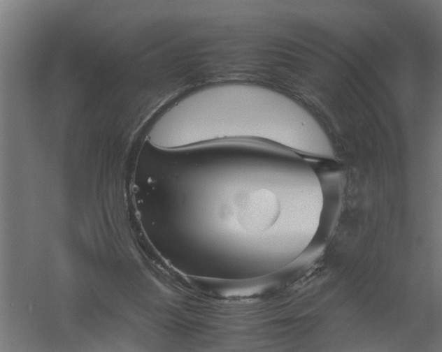 X0000061140251200511241811