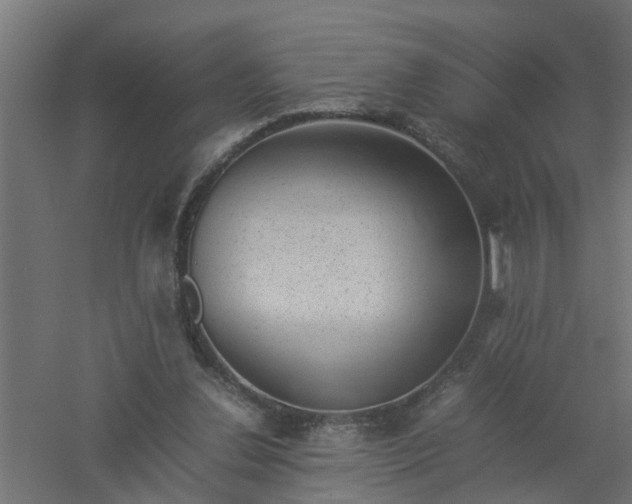 X0000061140252200511241812