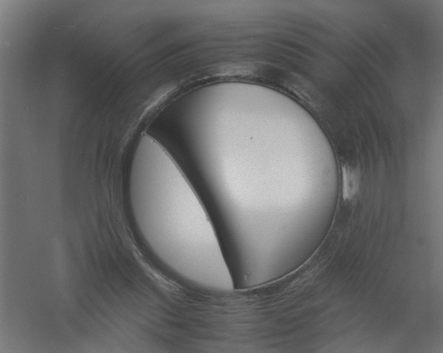 X0000061140253200511241812