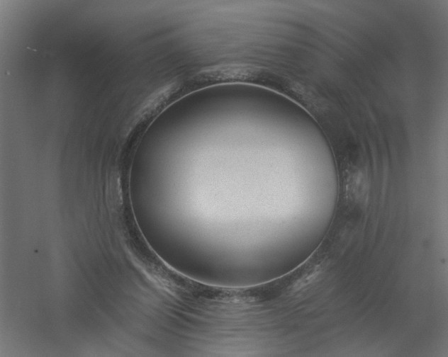 X0000061140254200511241812