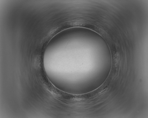 X0000061140255200511241812