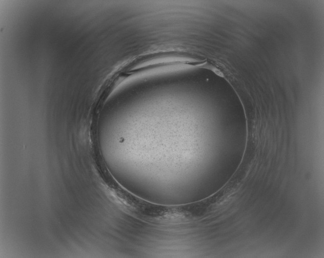 X0000061140256200511241812