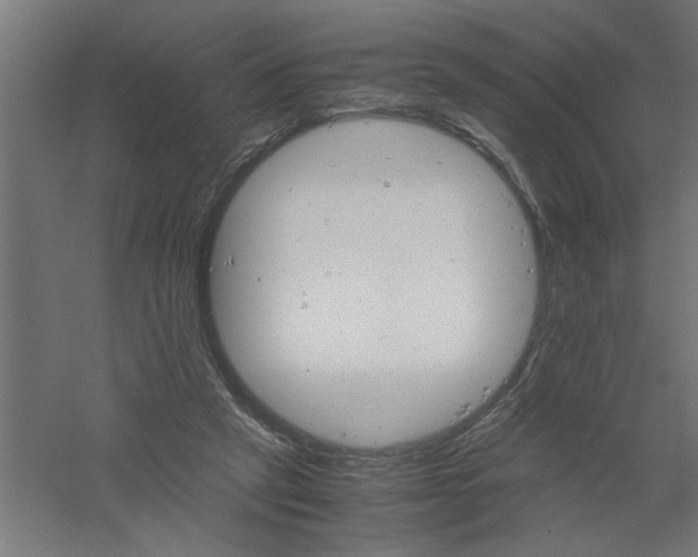 X0000061140257200511241812