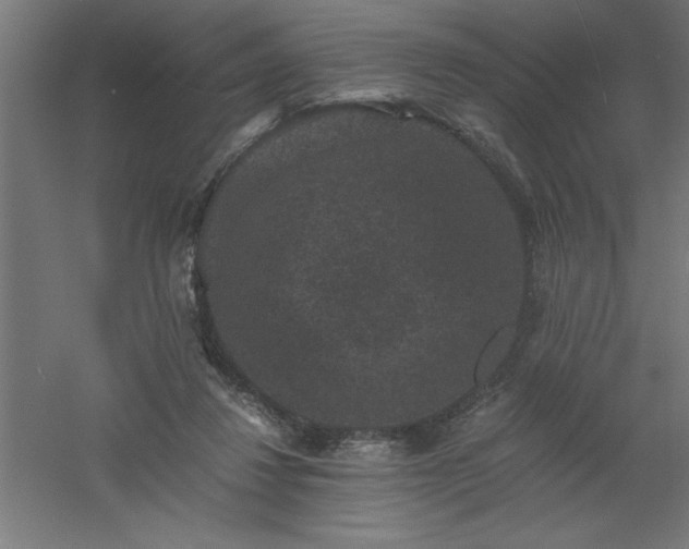 X0000061140260200511241812