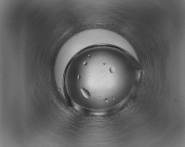 X0000061140262200511241812