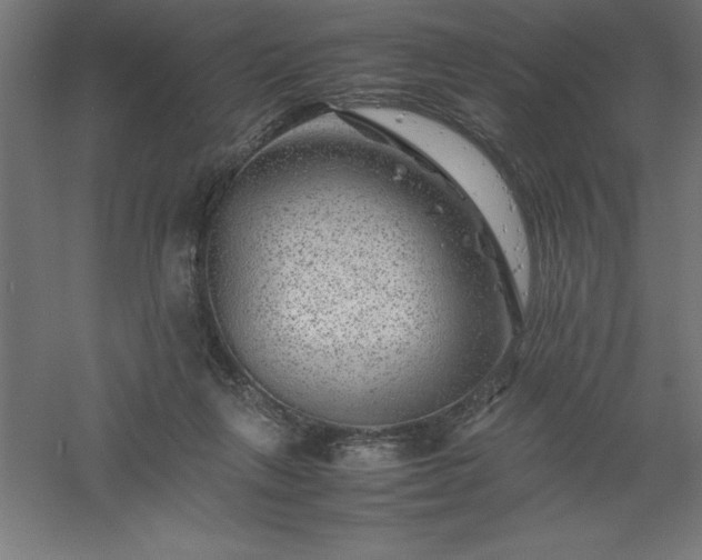 X0000061140263200511241812