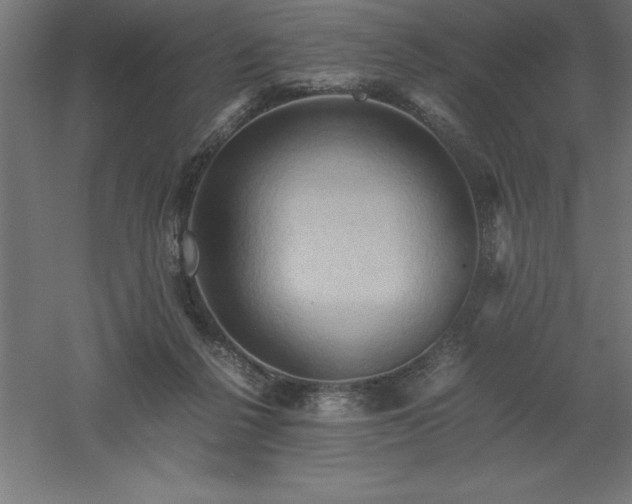 X0000061140264200511241812