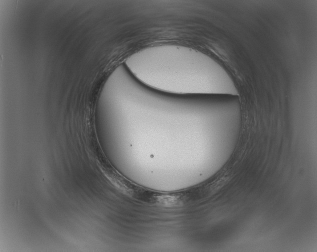 X0000061140265200511241812